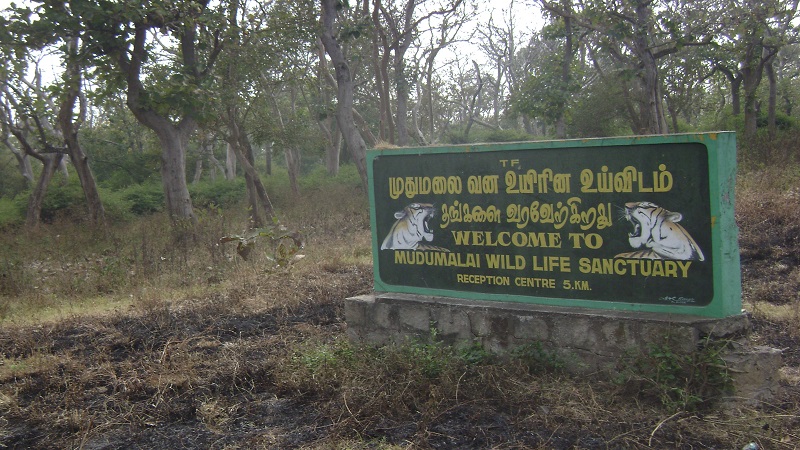 Indira Gandhi Wildlife Sanctuary & National Park